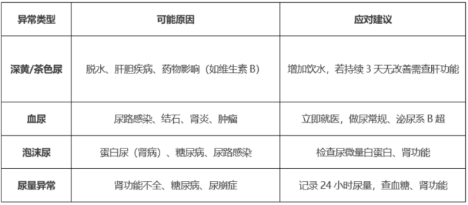 图片[4]-早晨第一泡尿,可能是身体在呼救!这些信号别忽略_无忧资讯-EnglishX