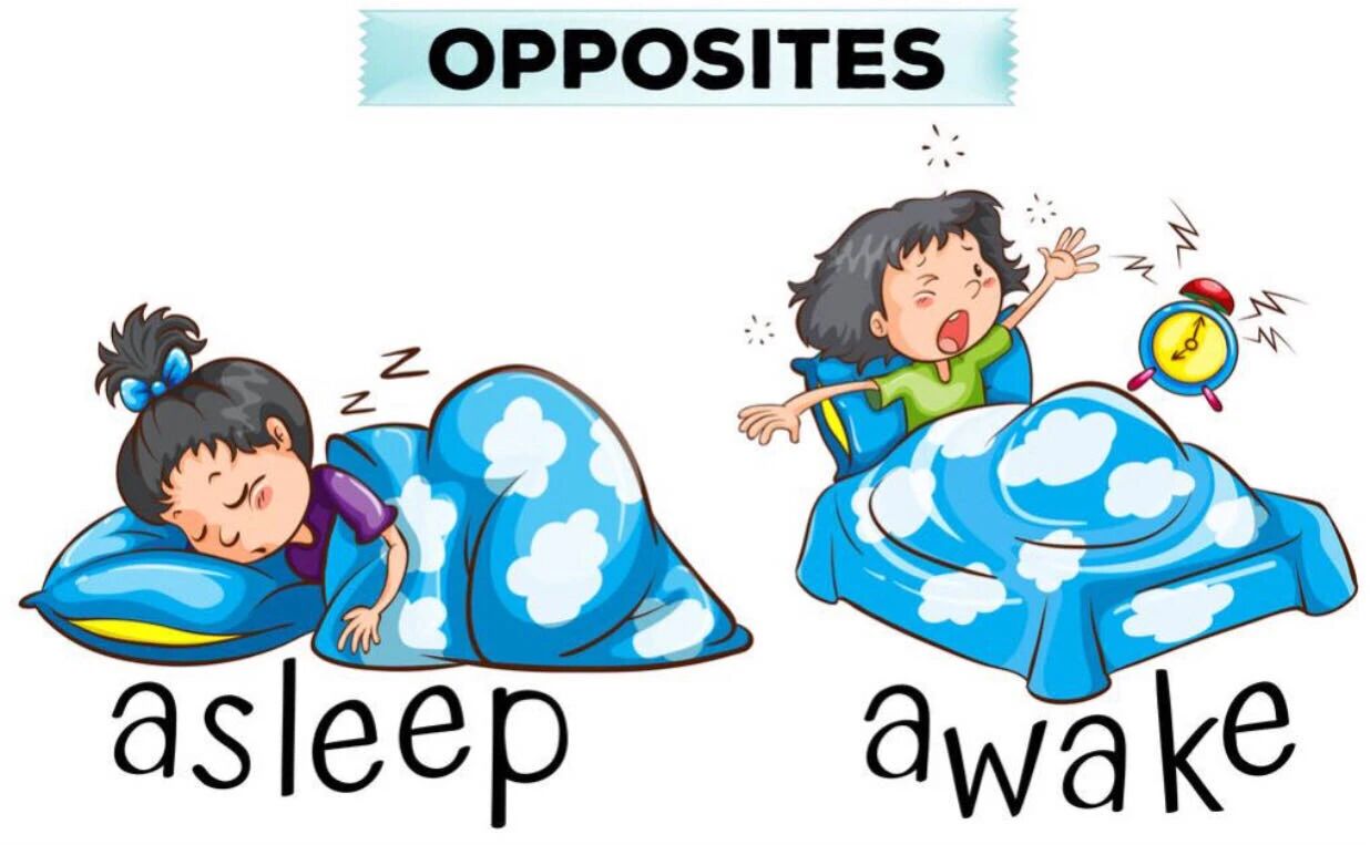 图片[4]-100张彩色英文反义词闪卡，边说边读边理解，英语老师都在用！-EnglishX