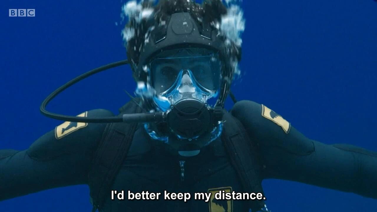 图片[4]-全球孩子都在追！5部BBC实景儿童科普剧，孩子一看就着迷！-EnglishX