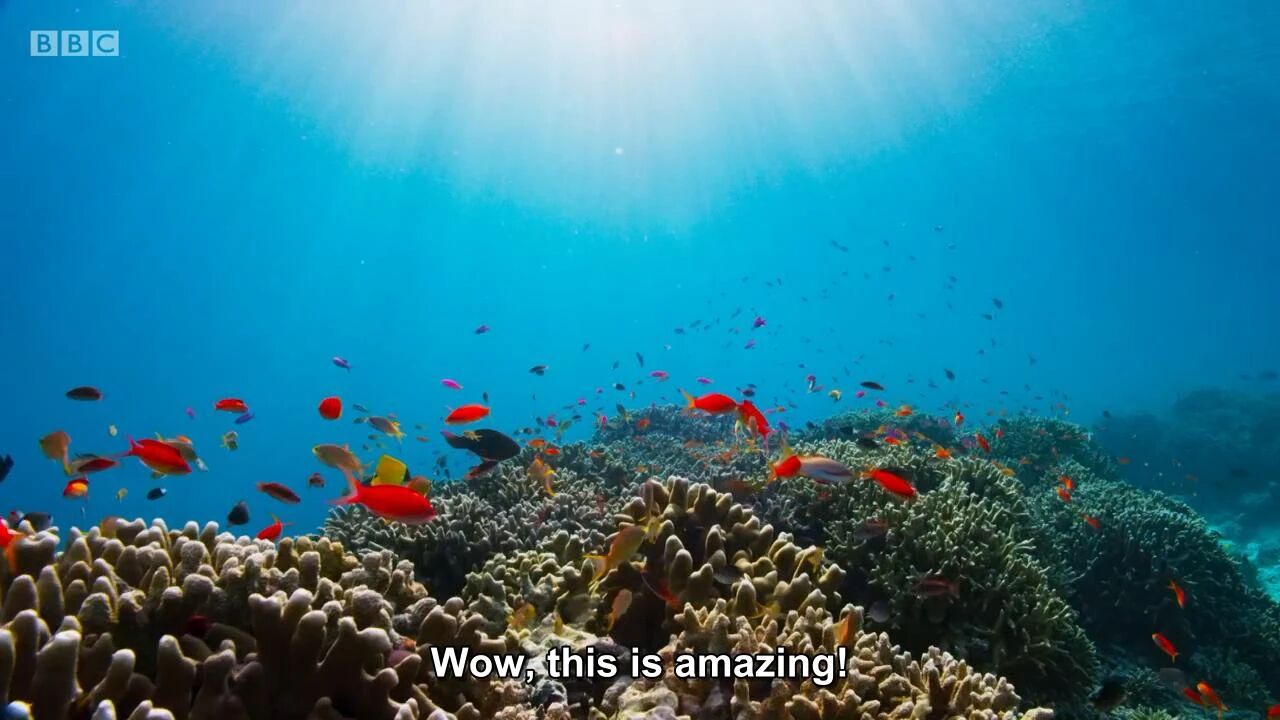 图片[6]-全球孩子都在追！5部BBC实景儿童科普剧，孩子一看就着迷！-EnglishX