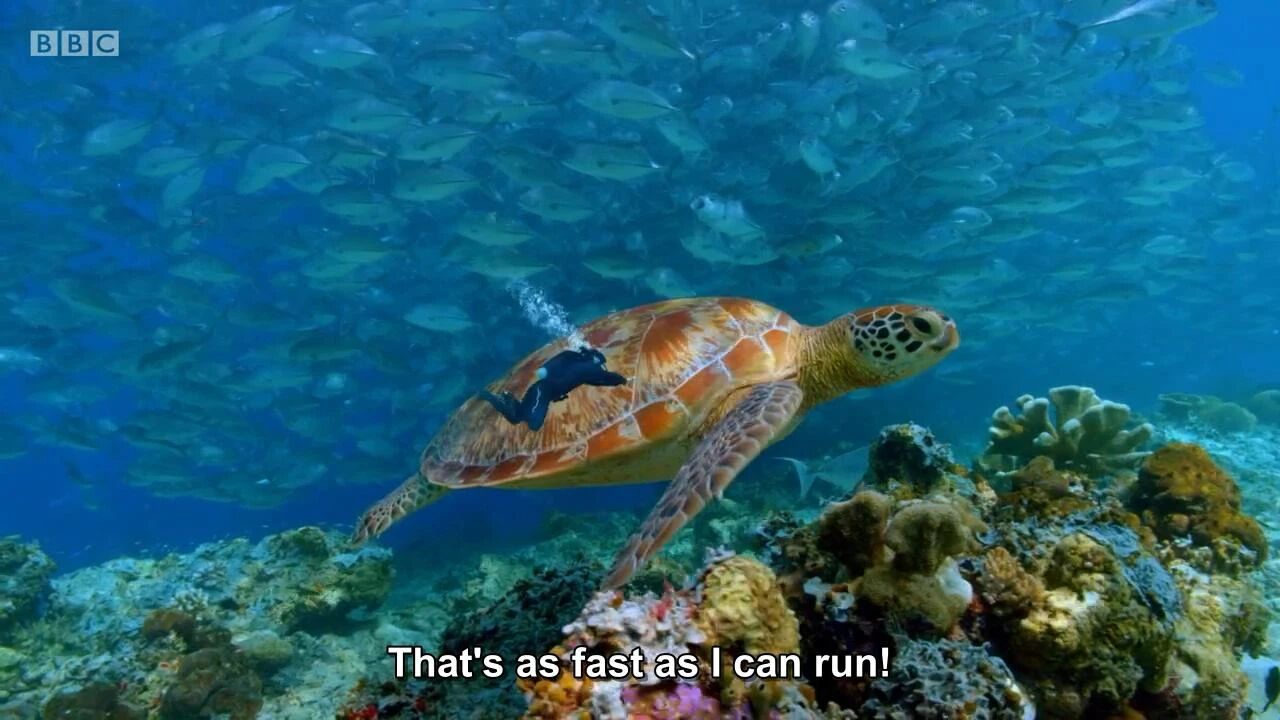 图片[10]-全球孩子都在追！5部BBC实景儿童科普剧，孩子一看就着迷！-EnglishX