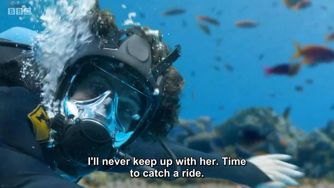 图片[9]-全球孩子都在追！5部BBC实景儿童科普剧，孩子一看就着迷！-EnglishX