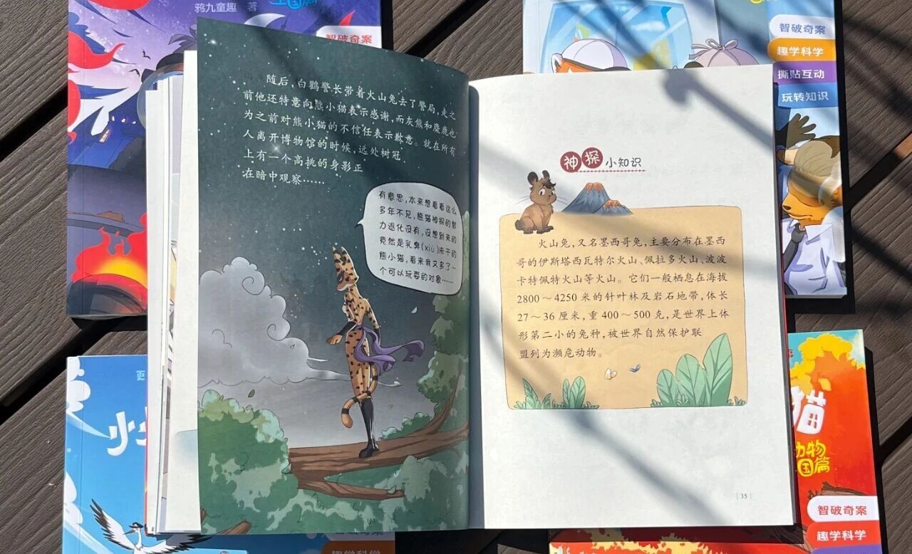 图片[5]-介绍一套入门级的儿童侦探绘本-EnglishX