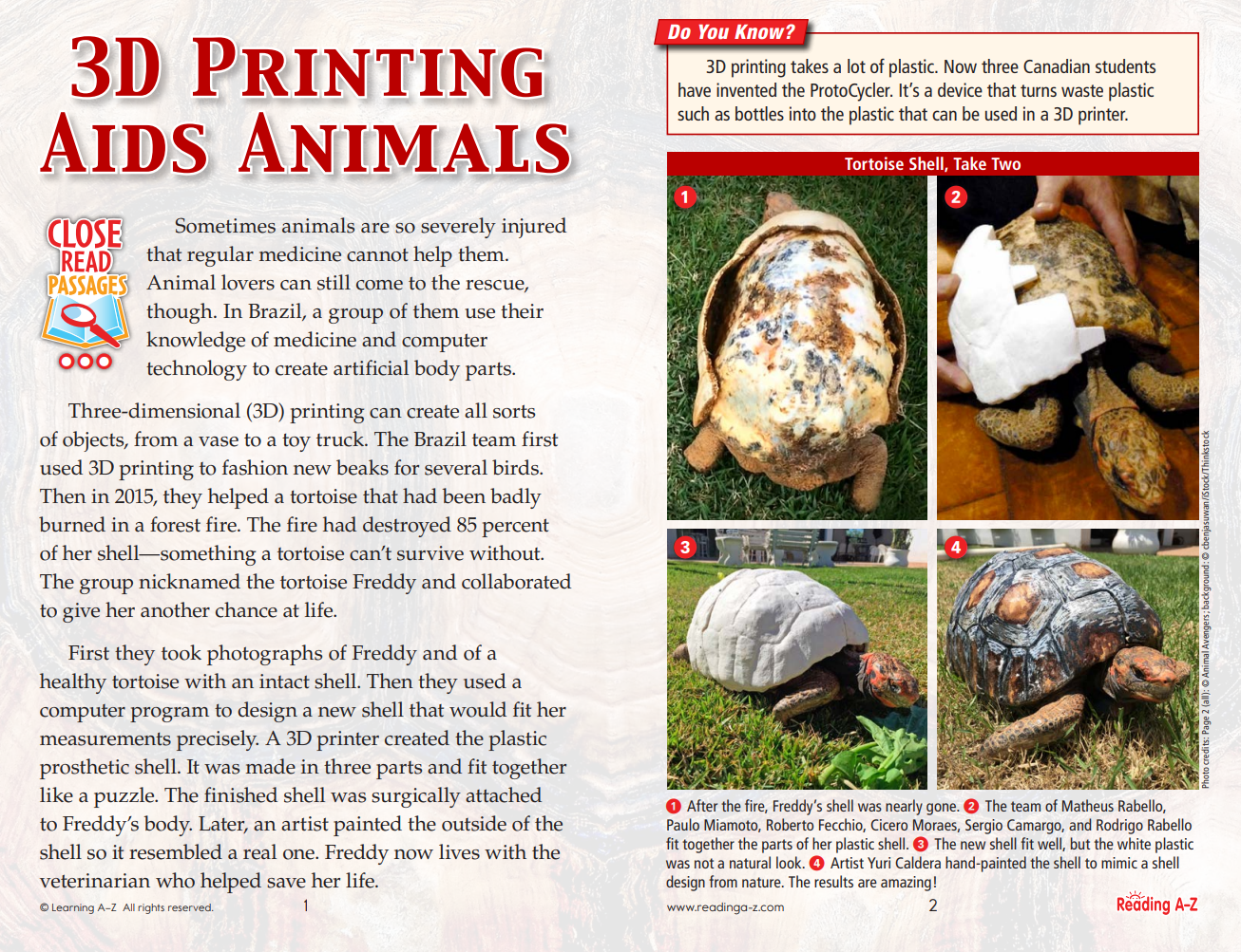 图片[7]-RAZ新出的300多篇精读素材，还配答案和解析，让孩子阅读能力一路飙升！-EnglishX