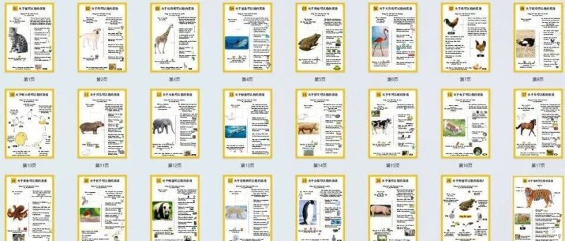 超赞！科普类思维导图102页，真实大图，拓展短句，中文注解！-EnglishX