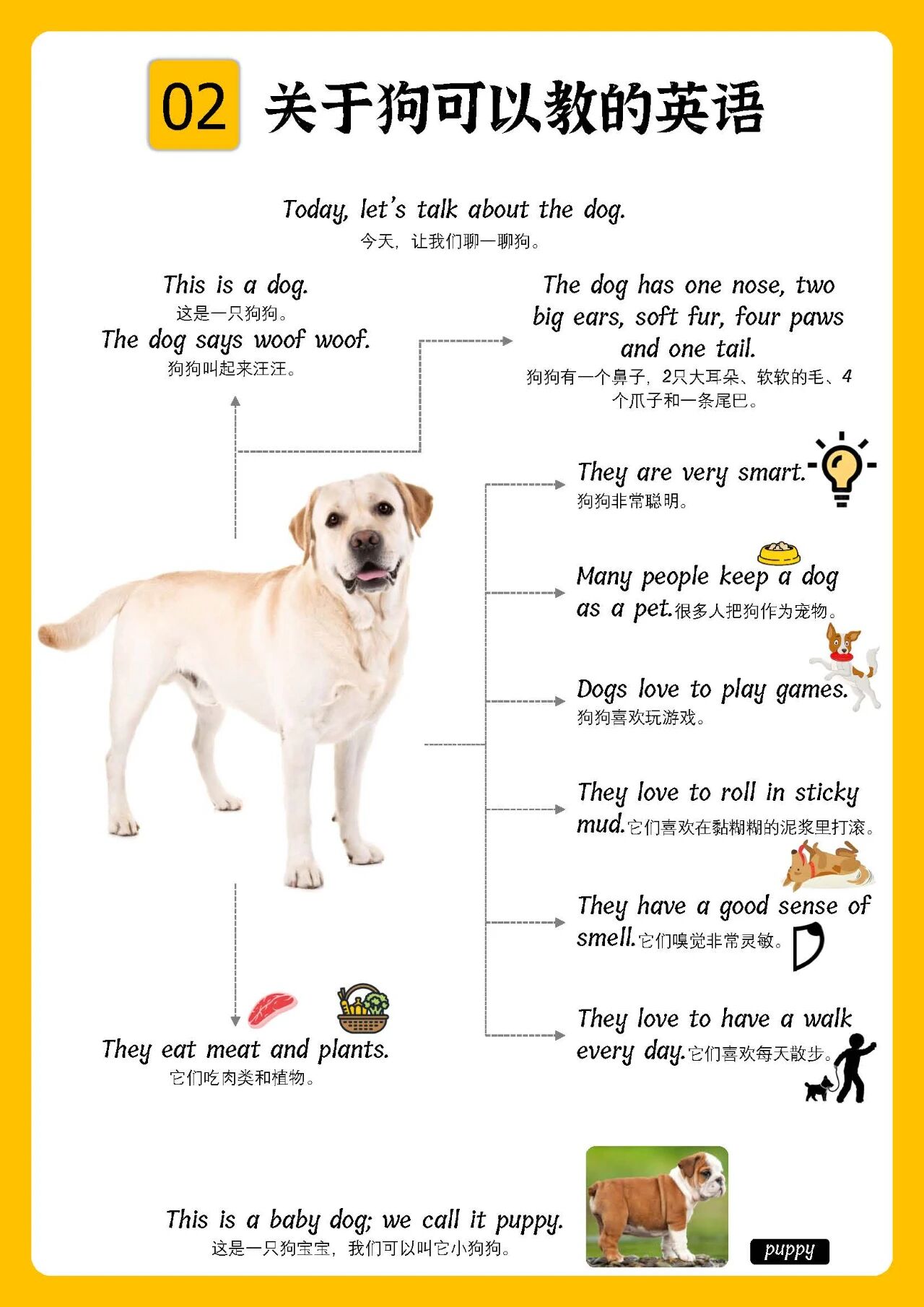 图片[3]-超赞！科普类思维导图102页，真实大图，拓展短句，中文注解！-EnglishX