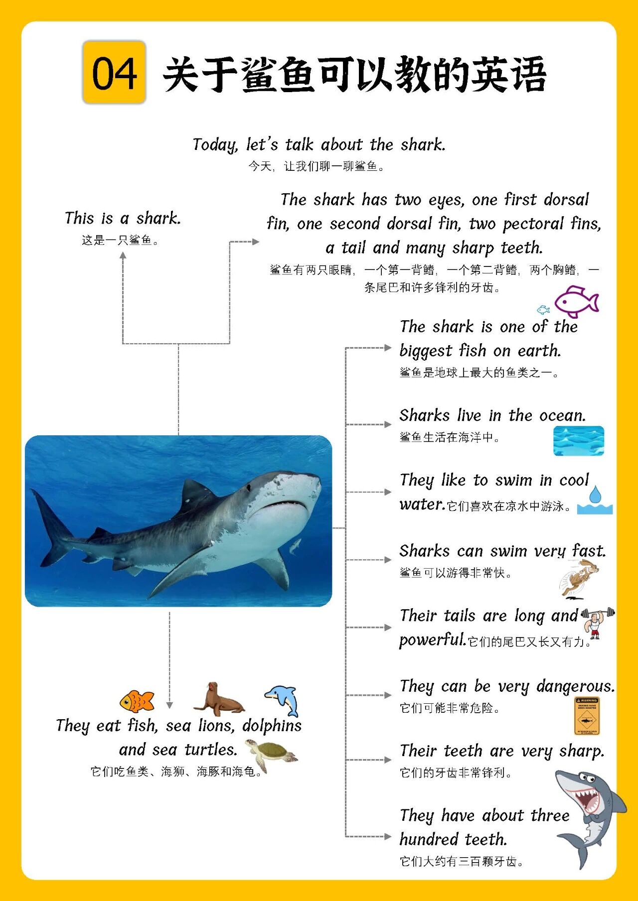 图片[5]-超赞！科普类思维导图102页，真实大图，拓展短句，中文注解！-EnglishX