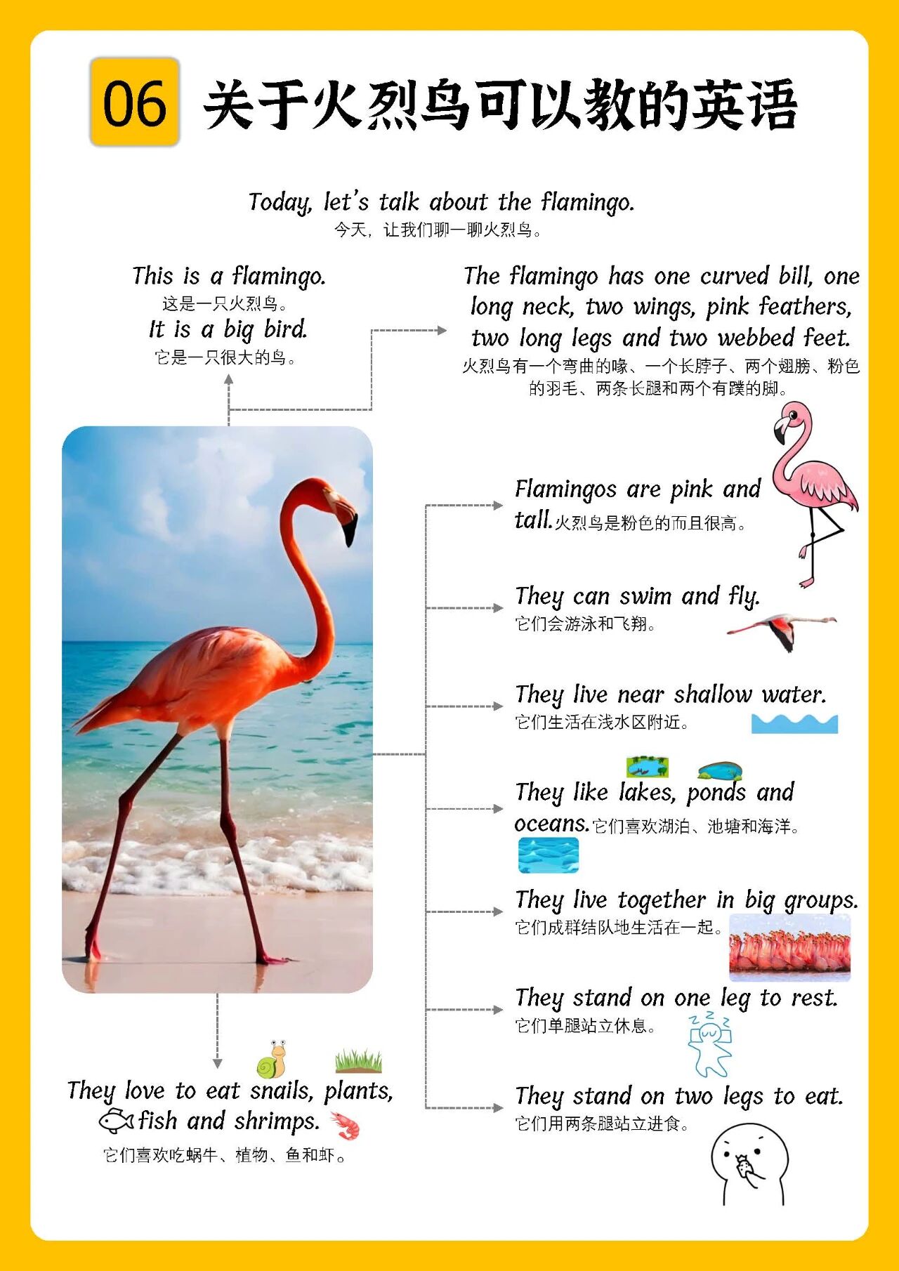 图片[7]-超赞！科普类思维导图102页，真实大图，拓展短句，中文注解！-EnglishX