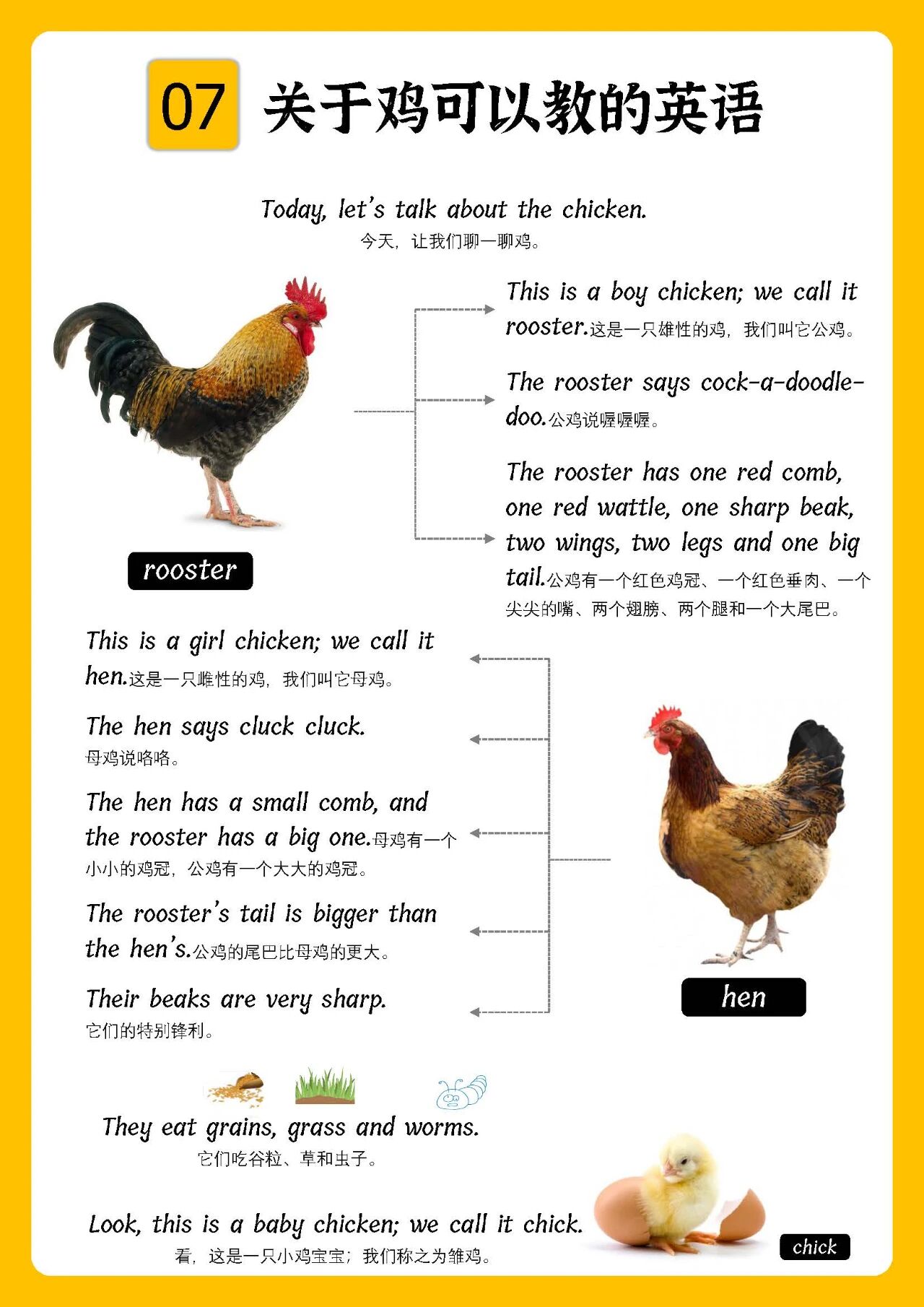 图片[8]-超赞！科普类思维导图102页，真实大图，拓展短句，中文注解！-EnglishX