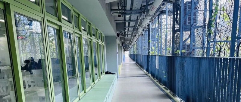 124个！教育部公布新一批中外合办项目/机构-EnglishX