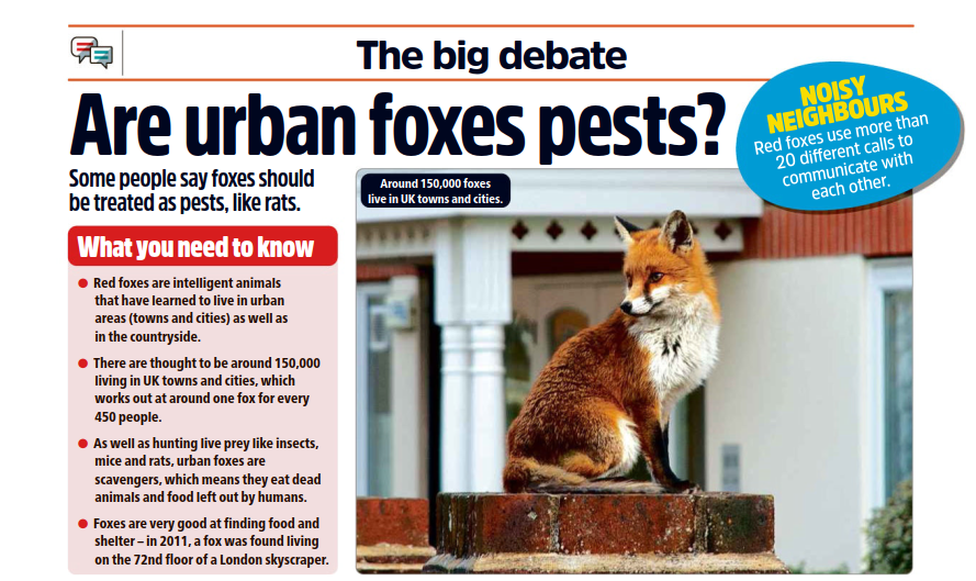 图片[3]-英国青少年周刊大辩论合集，丰富话题+技巧+内容轻松解锁孩子的思辨能力！-EnglishX